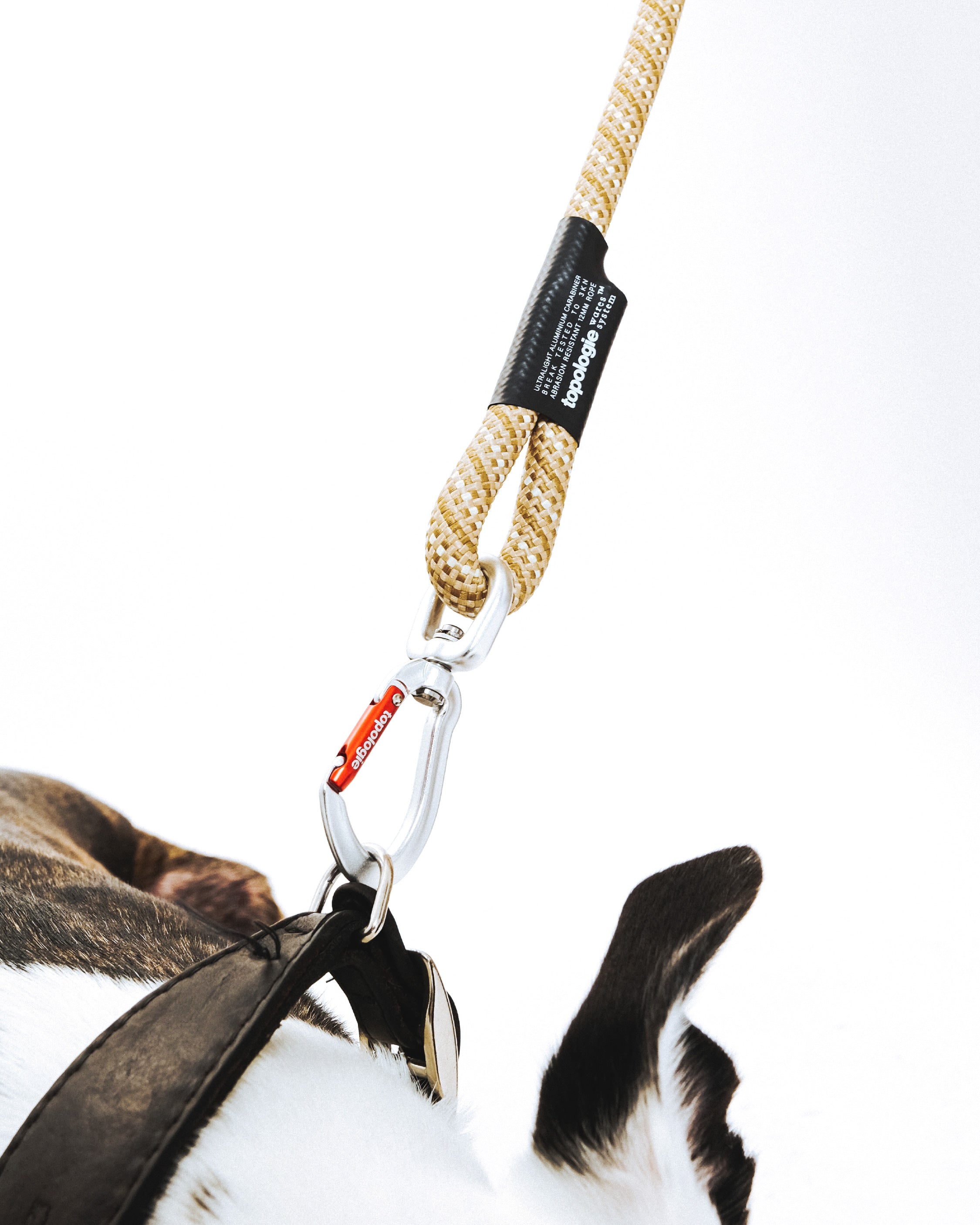 12mm Leash